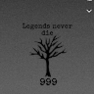 Meet your Posher, King